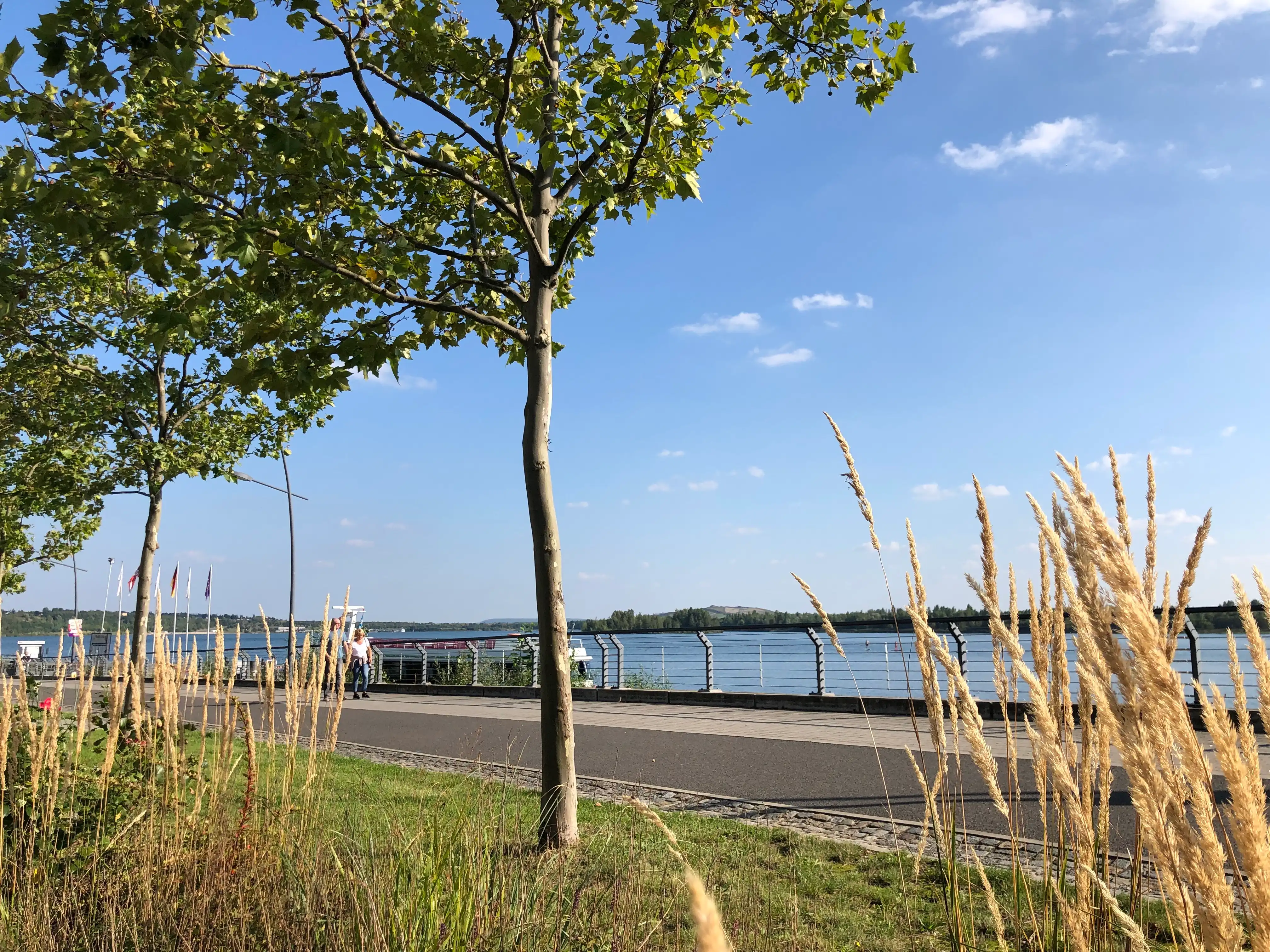 Seepromenade am Markleeberger See