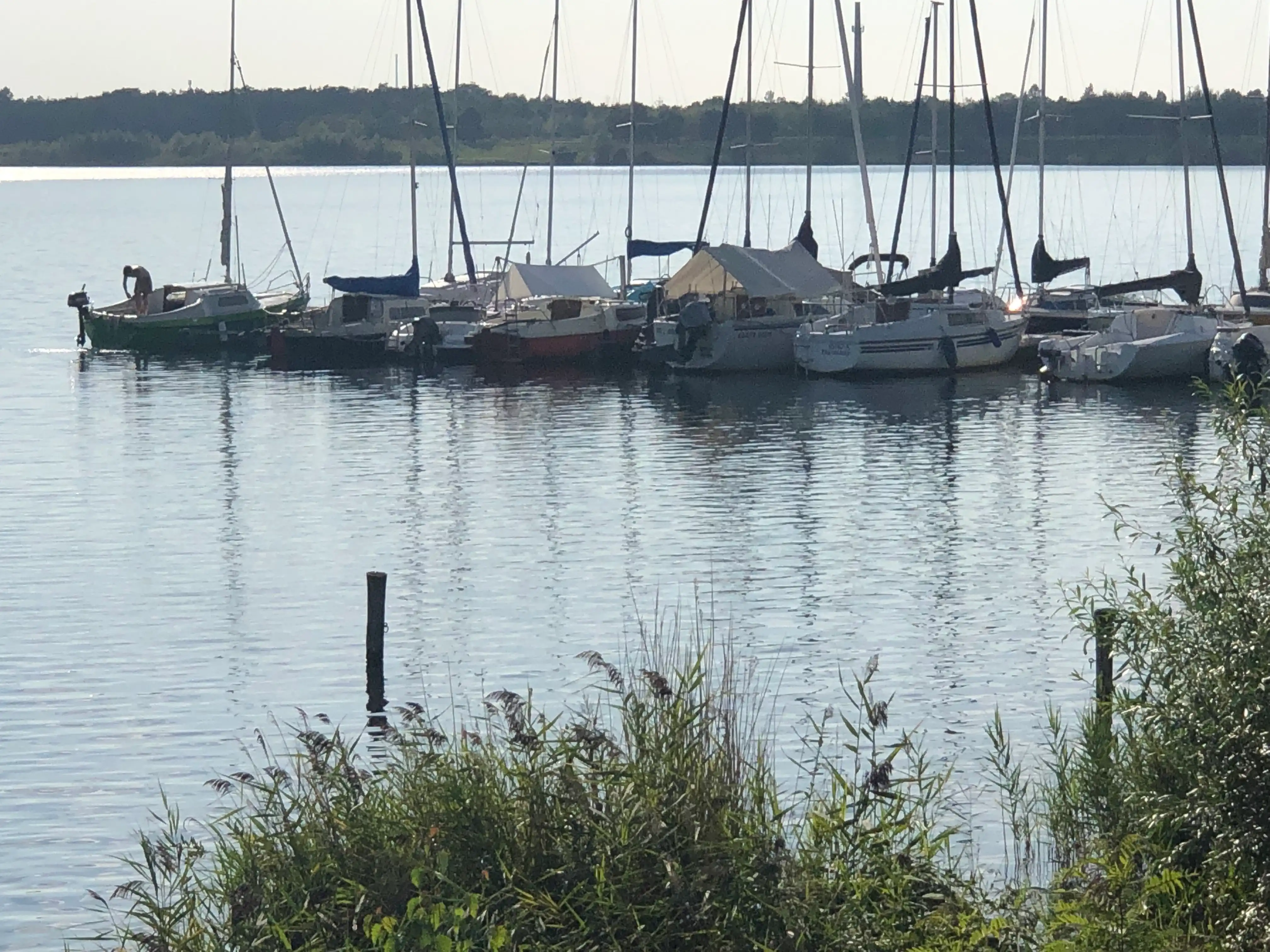 Segelbootanleger Markkleeberg