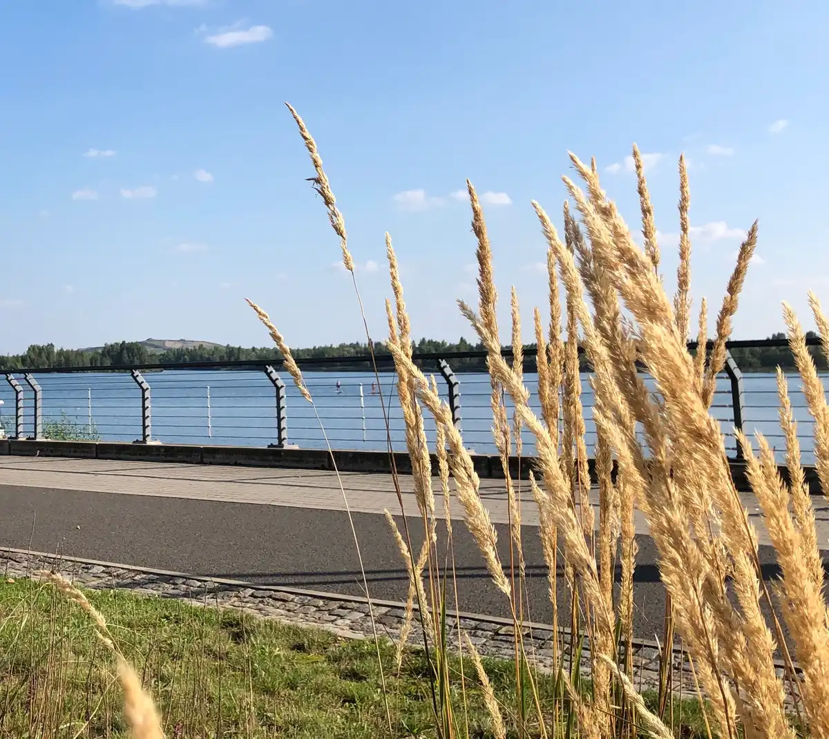 Blick aus der Ferienwohnung aus den Markkleeberger See